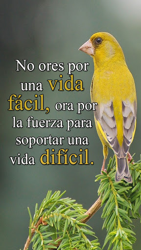 Palabras de Fortaleza Screen 3