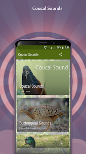 Coucal Sounds