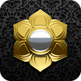 LAURUS Gold Icon Pack icon