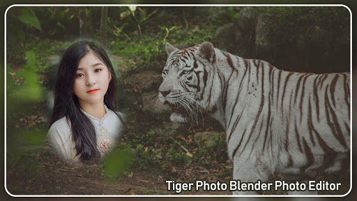 TIGER PHOTO EDITOR and TIGER BAC