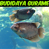CARA MUDAH BUDIDAYA GURAME icon