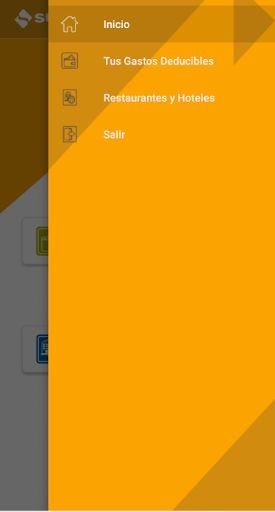 Personas SUNAT Screen 3