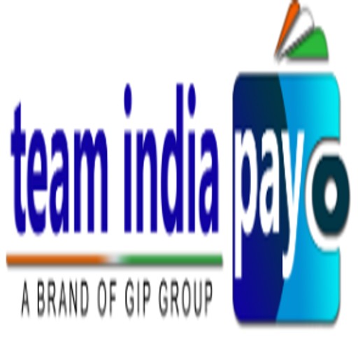 Team India Pay logo