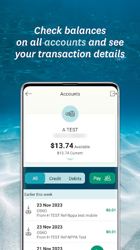 Horizon Bank Screen 3
