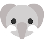 Cute Animals