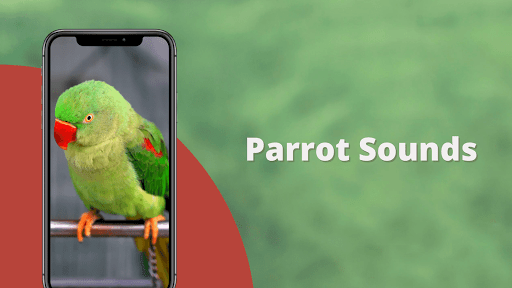 Android application Parrot Sounds screenshort