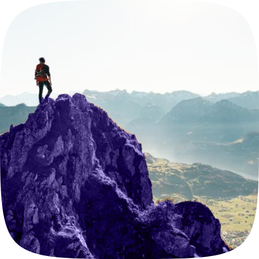 الطموح الواقعي