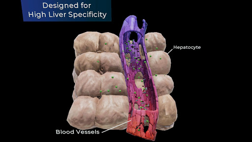 Turning Genes into Medicine Screen 2