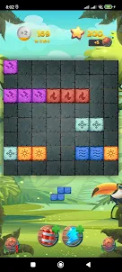 Block Puzzle Wild