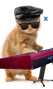 Talking, Dancing Cat. For PC installation