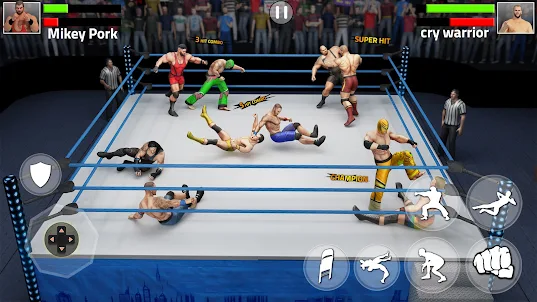 Tag Team Wrestling Game