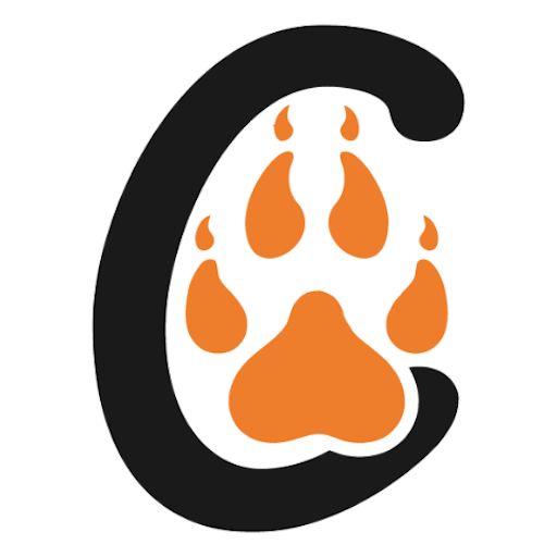 Big Cats India - Tiger Safari logo