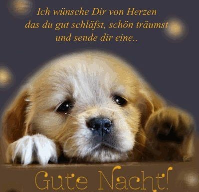 Gute Nacht Bilder