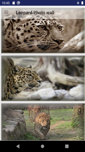 Android application Leopard wallpaper: panther screenshort