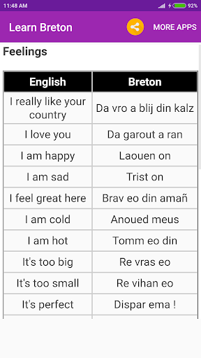 Learn Breton Screen 3