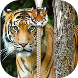 Wild Kitty Zipper Screen Lock icon