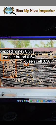 Android application Bee My Hive Inspector screenshort