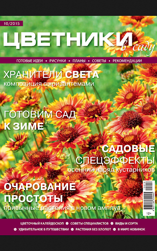 Цветники в саду. Screen 3