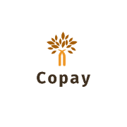 CoPay