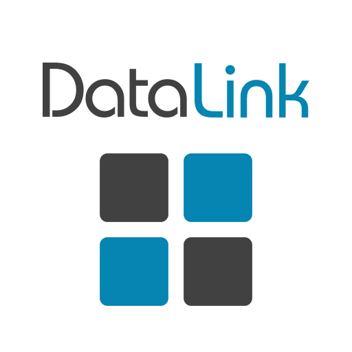 DataLink Services logo