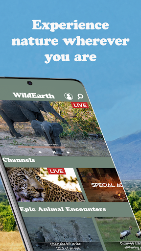 WildEarth TV - Nature Safari Screen 3