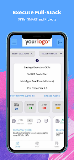 OKR Stars™ Execute Strategies Screen 2
