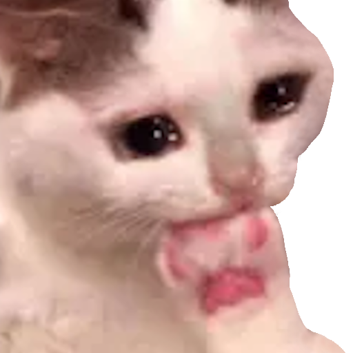 Memes Stickers for WhatsApp logo