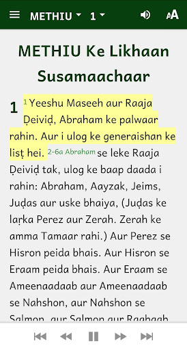 Fiji-Hindi Bible Screen 3