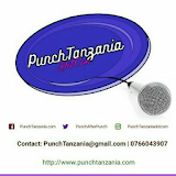 PunchTanzania icon