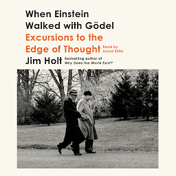 Icon image When Einstein Walked with Gödel: Excursions to the Edge of Thought