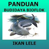 Panduan Budidaya Ikan Lele Bioflok