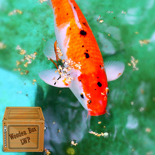 carp fish wallpaper logo