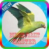 Kicau Master Burung Parkit Offline icon