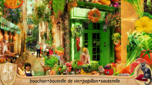 Aperçu de l'application