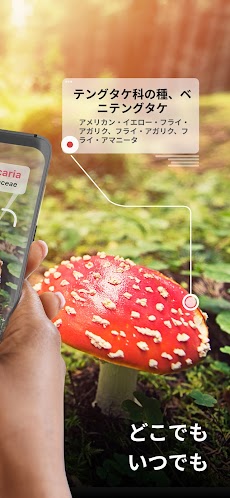Picture Mushroom - 1秒キノコ図鑑のおすすめ画像2