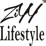 Ziyylifestyle icon