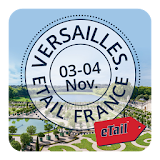 eTail France 2015 icon