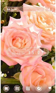 花的主題 粉色玫瑰