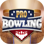 Pro Bowling 3D Game