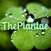 The Plantae - Free plant identification icon