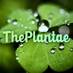 The Plantae - Free plant identification Apk