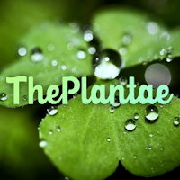 The Plantae - Free plant identification