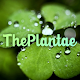 The Plantae - Plant identification Download on Windows