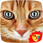 Cover Image of Tải xuống Cat Sounds  APK