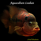 Aquaculture Louhan icon