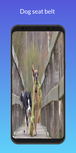 Cute Dog Accessories Screen 3