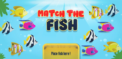 Fish Sort & Match 3D