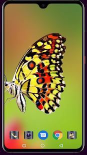 Butterfly Wallpaper 4K Latest 1.013 APK screenshots 6