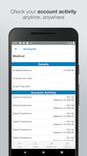 MoneyWise Solutions, Inc. Screen 2
