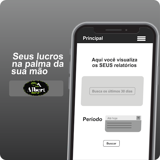 Albert Delivery - Profissional Screen 3